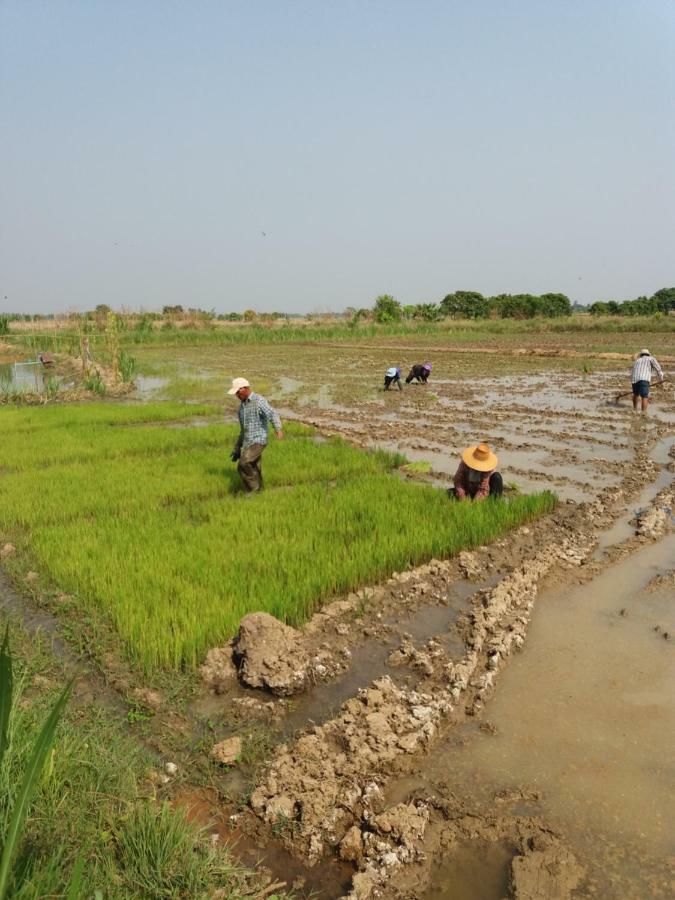 Raina-Suanpa Lung Sood Farmstay Suphan Buri Exterior photo